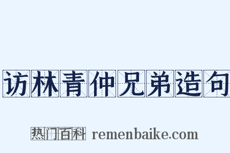 访林青仲兄弟造句是什么意思的图片